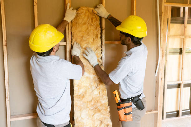 Best Residential Insulation Services  in Barnesville, GA